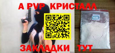 твердый Кингисепп