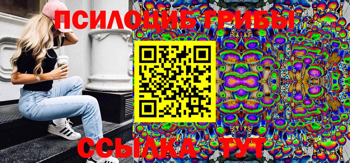 Галлюциногенные грибы мицелий  Вход с VPN  Ноябрьск 