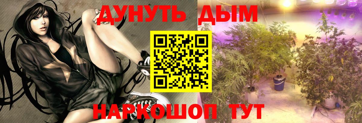 Канабис AK-47  Марихуана OG Kush  Ноябрьск  Бошки марихуана LSD WEED  Бошки марихуана MAZAR  Вход с VPN 