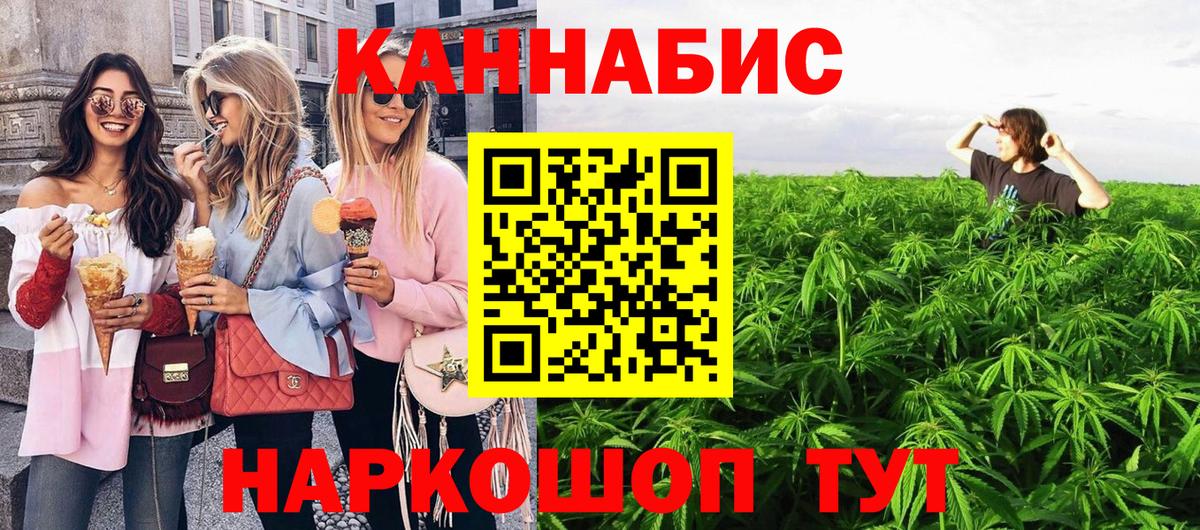 Конопля конопля Ноябрьск